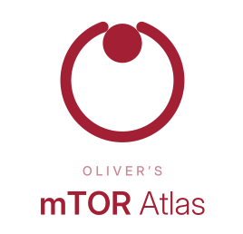 Oliver's mTOR Atlas