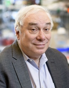 Neal Rosen