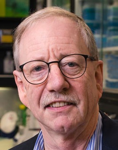 Steven N. Austad