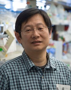 Wenyi Wei